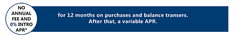 No annual fee and 0% intro APR